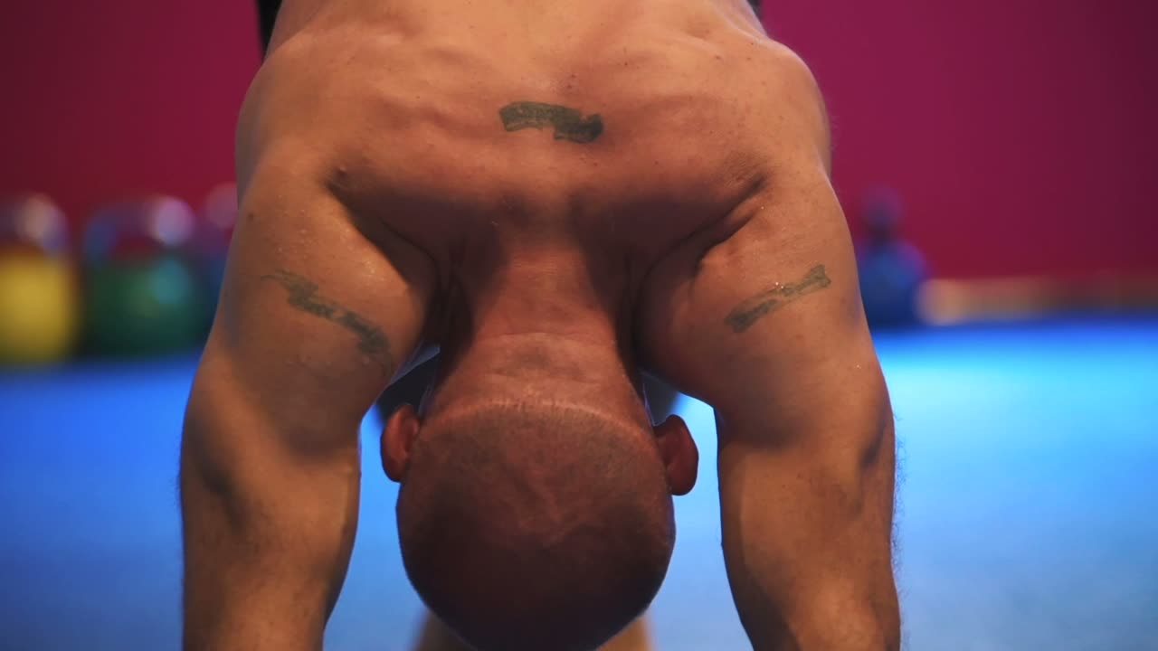 Vježba Crvić — Quantum premium gym